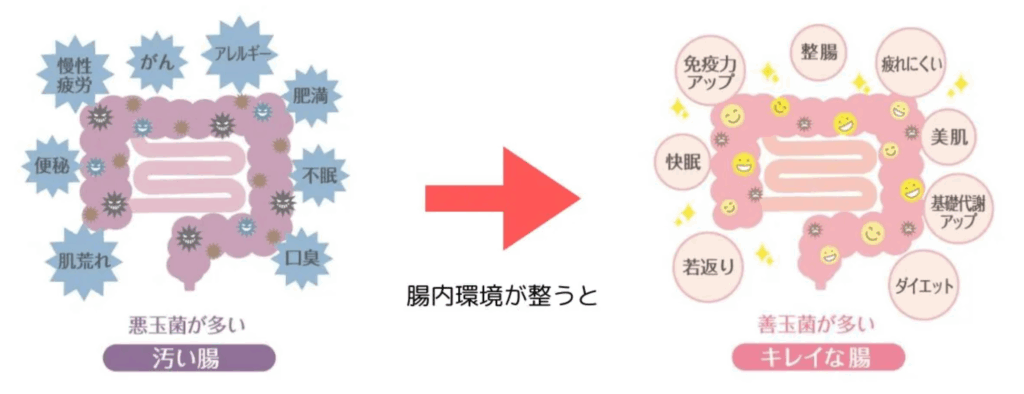 腸内環境が悪いと身体に様々な不具合が起こります